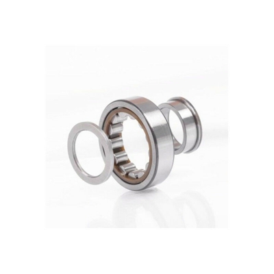 Cuscinetto a rulli cilindrici 20mm OD 90mm ID 50mm foro cilindrico SKF