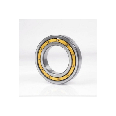 Cuscinetto radiale a sfere 56mm OD 580mm ID 460mm SKF