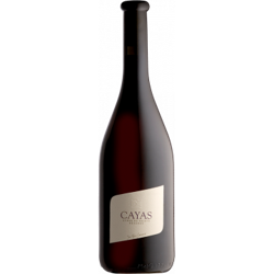 CAYAS SYRAH RESERVE 2018 - DOMAINE JEAN-RENÉ GERMANIER en oferta