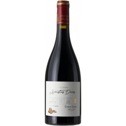 SCHISTES DORES 2019 - CHATEAU DE GREZAN en oferta