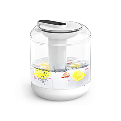 Feloyal Umidificatore, Ultrasonic Silent 1000 ml / 1L USB Powered Umidificatore D'Aria, 2 Modalità di Spruzzatura, Spegnimento Automatico con Luce Not en oferta