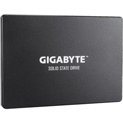 GP-GSTFS31100TNTD drives allo stato solido 2.5" 1000 GB SATA, Disco a stato solido en oferta