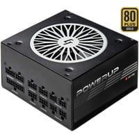 Chieftronic PowerUp alimentatore per computer 550 W 20+4 pin ATX ATX Nero, Alimentatore PC características