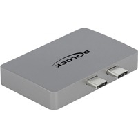 64001 cavo e adattatore video 2 x USB Type-C 2 x DisplayPort Grigio