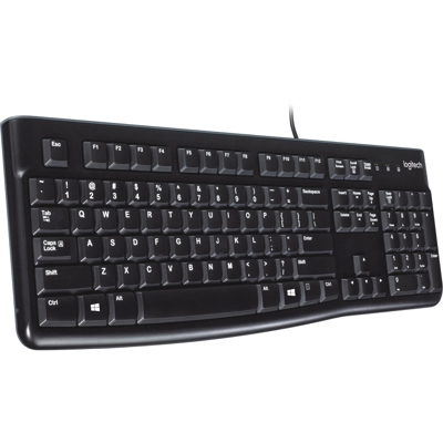 Keyboard K120 for Business tastiera USB QWERTY US International Nero