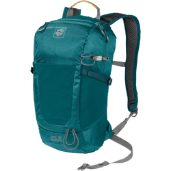 Kingston Unisex 16 L Poliestere Colore foglia di tè, Zaino precio