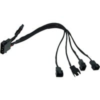 4Pin Molex auf 4x 3Pin (12V) 30cm 0,3 m, Adattatore