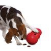 KONG Wobbler Snackball - L 19 cm x P 13 cm