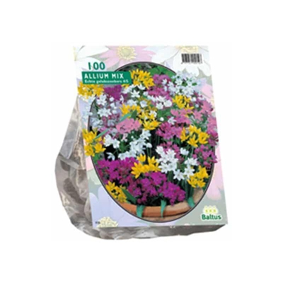 Allium Mix 100 Pz