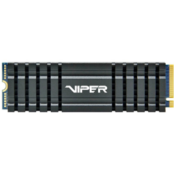 VPN100 M.2 256 GB PCI Express 3.0 NVMe, Disco a stato solido características
