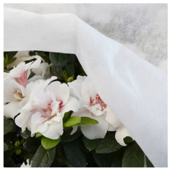 Minirotolo tnt Bianco precio