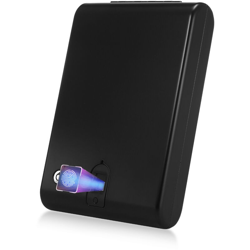 Casseforti per impronte digitali Cassetta di sicurezza portatile Cassetta di sicurezza per auto Pistola Cassaforte Oggetti di valore Soldi Custodia precio