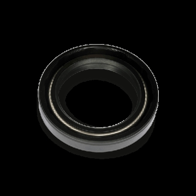 PLANET TECH Guarnizioni PL4309 Anello tenuta, Differenziale PEUGEOT,CITROËN,206 Schrägheck (2A/C),207 (WA_, WC_),307 (3A/C)