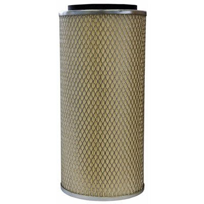 Filtro aria 3146576R1 F17882009001 adattabile CASE FENDT