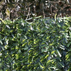 Siepe artificiale ornamentale in rotoli con foglie ad Ago Largo bicolore 1x3mt STI características