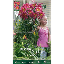 Bulbi Autunnali Lilium Gigante Satisfaction Confezione 2 Bulbi Bulbs Bulbes precio