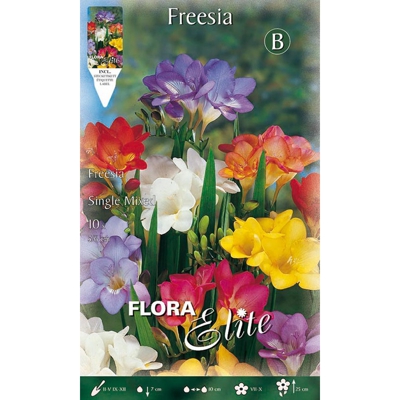 Bulbi Autunnali Freesia Single Mixed Confezione Da 10 Bulbi Bulbs Bulbes