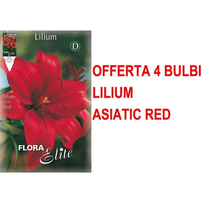 Offerta 4 Bulbi Lilium Asiatic Rosso Bulbs Bulbes