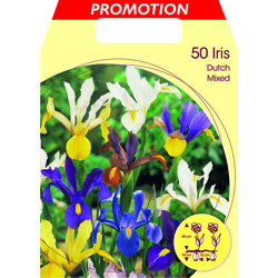 Bulbi Autunnali Iris Hollandica Mixed Color Confezione 50 Bulbi Bulbs Bulbes precio