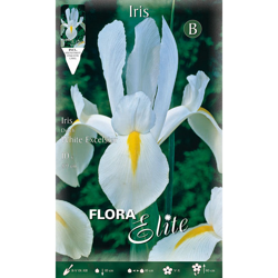 Bulbi Autunnali Iris Hollandica White Excelsior Confezione Da 10 Bulbi Bulbs Bulbes precio