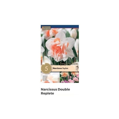 Bulbi di Narciso Replete confezione da 5 pz