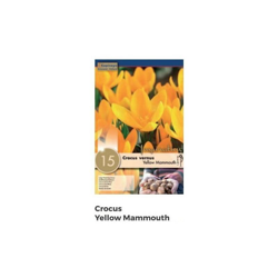 Bulbi di Crocus Yellow Mammouth confezione da 15 pz en oferta