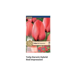 Bulbi di Tulipano Red Impression confezione da 10 pz precio