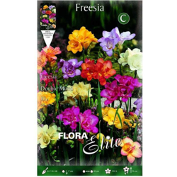 Bulbi Primaverili Freesia Double Mix Confezione Da 10 Bulbi Bulbs Bulbes en oferta