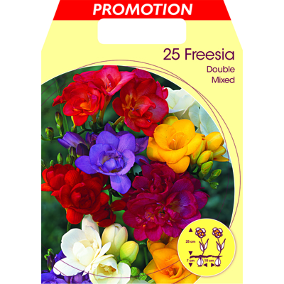 Bulbi Primaverili Freesia Double Mix Confezione Da 25 Bulbi Bulbs Bulbes