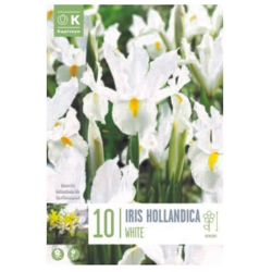 Bulbi di Iris White Wedgwood confezione da 10 pz características