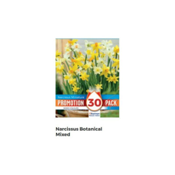 Bulbi di Narcissus Botanical Mixed confezione da 30 pz en oferta