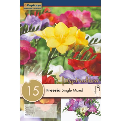 Bulbi di Freesia Single Mixed Colours confezione da 15 pz