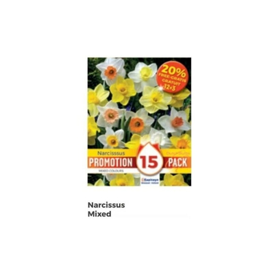 Bulbi di Narciso Mixed confezione da 15 pz