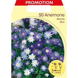Bulbi Autunnali Anemone Blanda Mixed Confezione Da 50 Bulbi Bulbs Bulbes precio