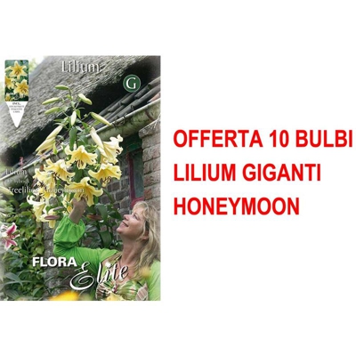 Offerta 10 Bulbi Autunnali Lilium Gigante Honeymoon Bulbs Bulbes