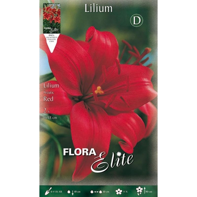 Bulbi Autunnali Lilium Asiatic Rosso Confezione Da 2 Bulbi Bulbs Bulbes
