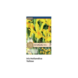 Bulbi di Iris Royal Yellow confezione da 10 pz en oferta