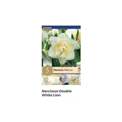 Bulbi di Narciso White Lion confezione da 5 pz características