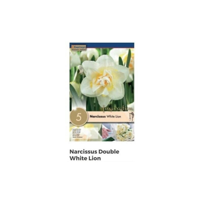 Bulbi di Narciso White Lion confezione da 5 pz
