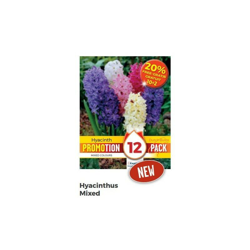 Bulbi di Hyacinthus Mixed confezione da 12 pz en oferta