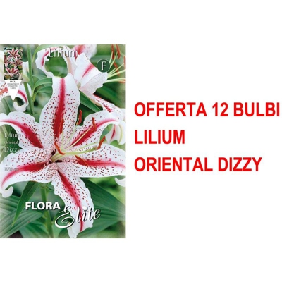 Offerta 12 Bulbi Autunnali Lilium Oriental Dizzy Bulbs Bulbes