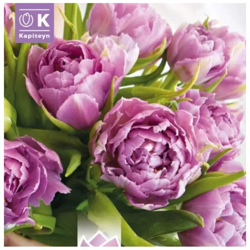 Bulbi di Tulipano Wedding Bouquet confezione da 10 pz características