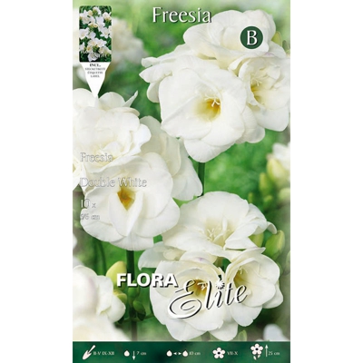 Bulbi Primaverili Freesia Double White Confezione Da 10 Bulbi Bulbs Bulbes