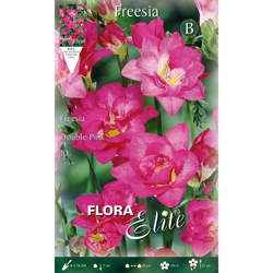 Bulbi Primaverili Freesia Double Pink Confezione Da 10 Bulbi Bulbs Bulbes en oferta