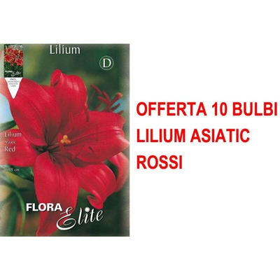 Offerta 10 Bulbi Autunnali Lilium Asiatic Rosso Bulbs Bulbes