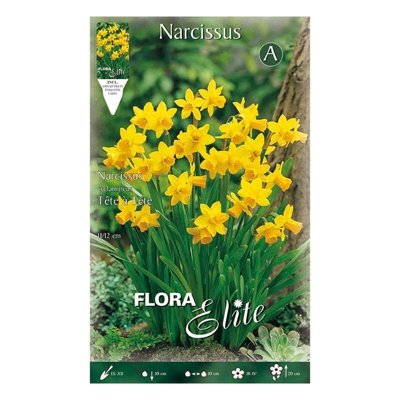 Bulbi Autunnali Narciso Cyclamineus Tete A Tete Confezione Da 5 Bulbi Bulbs Bulbes