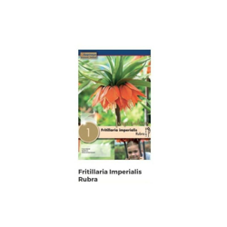 Bulbi di Fritillaria Imperialis Rubra confezione da 1 pz características