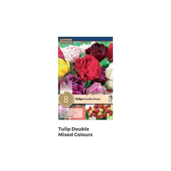 Bulbi di Tulipano Double Mixed Colours confezione da 8 pz características