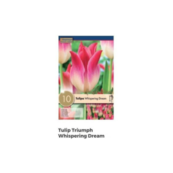 Bulbi di Tulipano Triumph Whispering Dream confezione da 10 pz precio