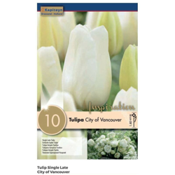 Bulbi di Tulipano City Vancouver confezione da 10 pz en oferta